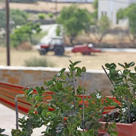 Nyaraló Pine Cottage, Syros Island *